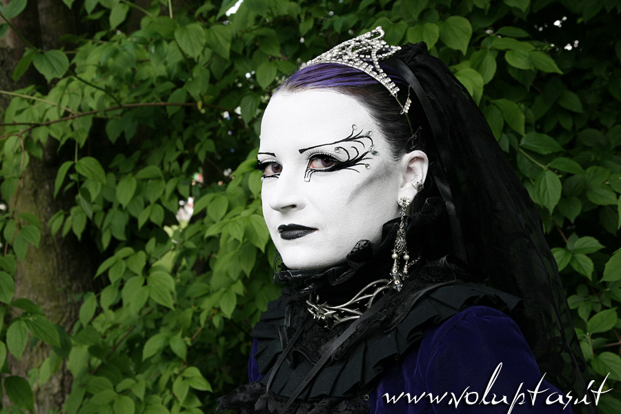 IMG_0474Web